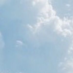 Meet your Posher, Talan